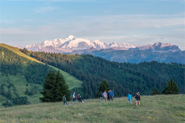 La vue sur le Mont-Blanc depuis le sommet - Vallée d'aulps tourisme