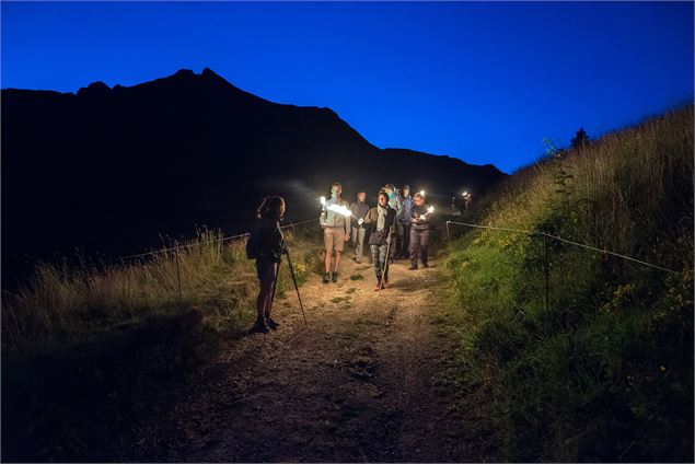 La descente aux flambeaux avec le Roc d'Enfer en arrière plan - Vallée d'aulps tourisme