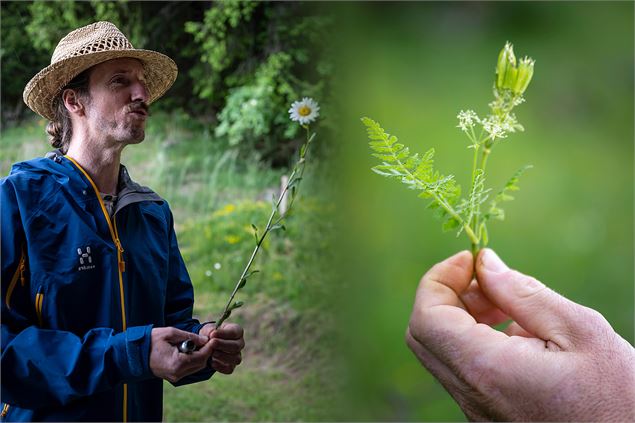Activités - été - Thônes - Botanico