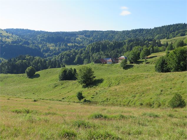 Alpage de la Cluse - © MV Fondation Facim