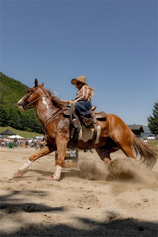 Une cavalière sur son cheval galope - Flo Little Ranch