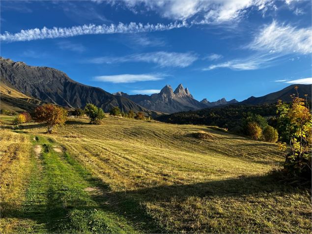 Alpages vue Aiguilles - Tilby Vattard