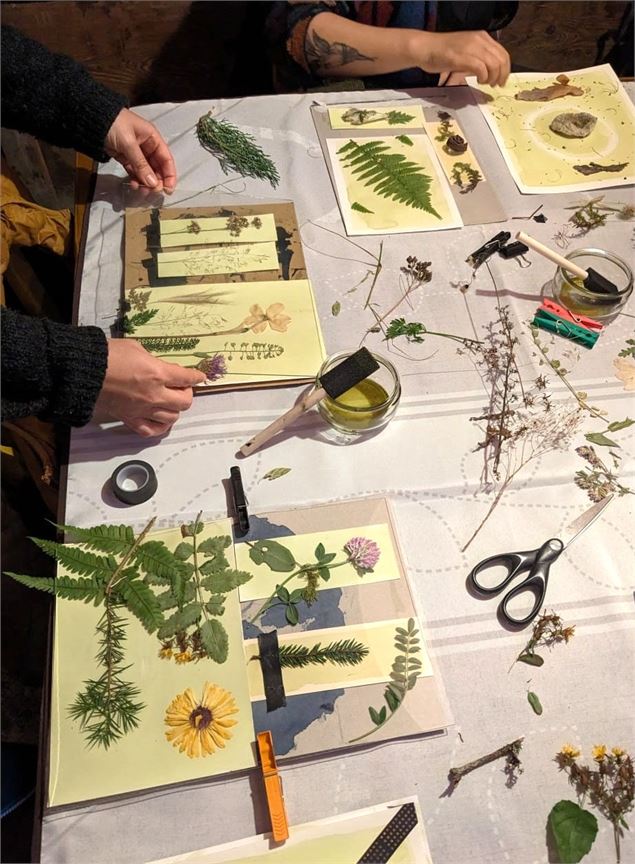 Atelier découverte du Cyanotype - Maison de la Forêt - Aurélie Fiorucci