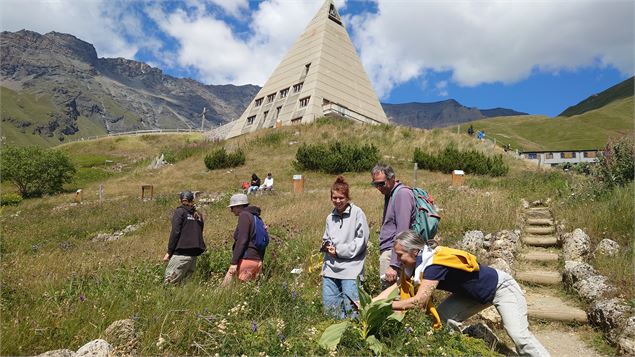Animation nature au Jardin Alpin : Chasse aux fleurs du jardin alpin_Val-Cenis - JF Durand