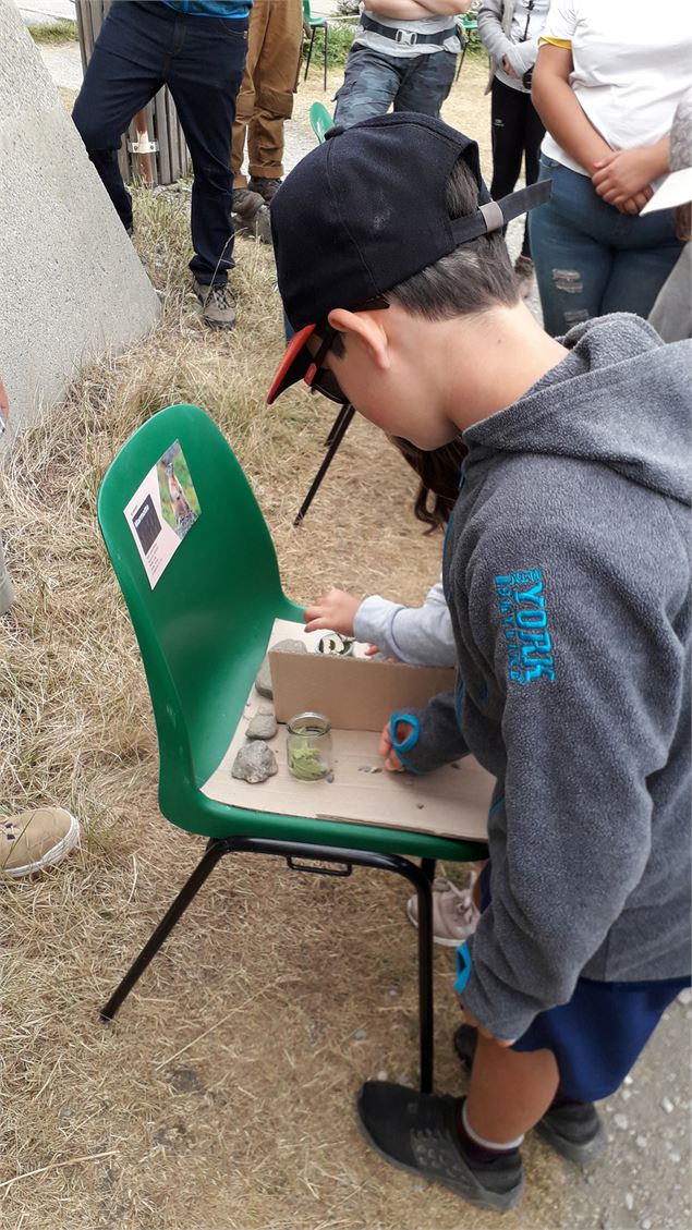 Animation nature Animation nature au Jardin Alpin - JF Durand