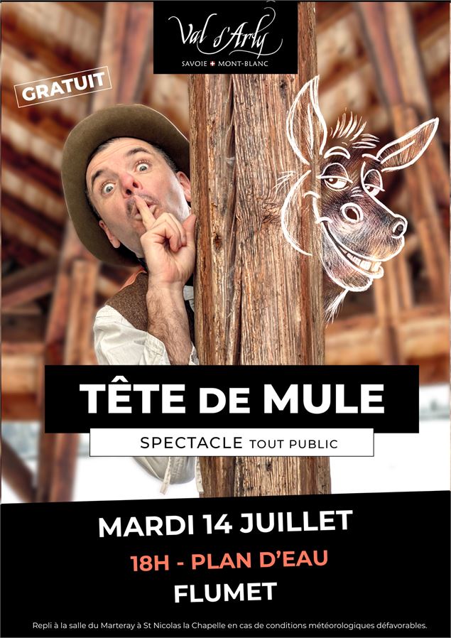 Spectacle en plein air - Office de Tourisme du val d'Arly