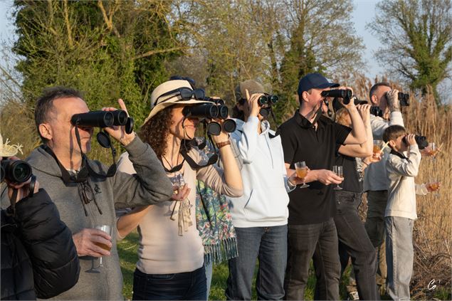 Des participants à l'animation regardent les oiseaux à travers leurs jumelles - Corinne Bertrand