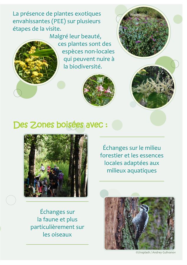 Visite guidée