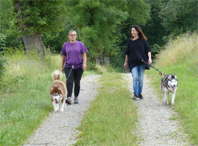 Zen Altitude : Cani rando avec Karine_Méribel