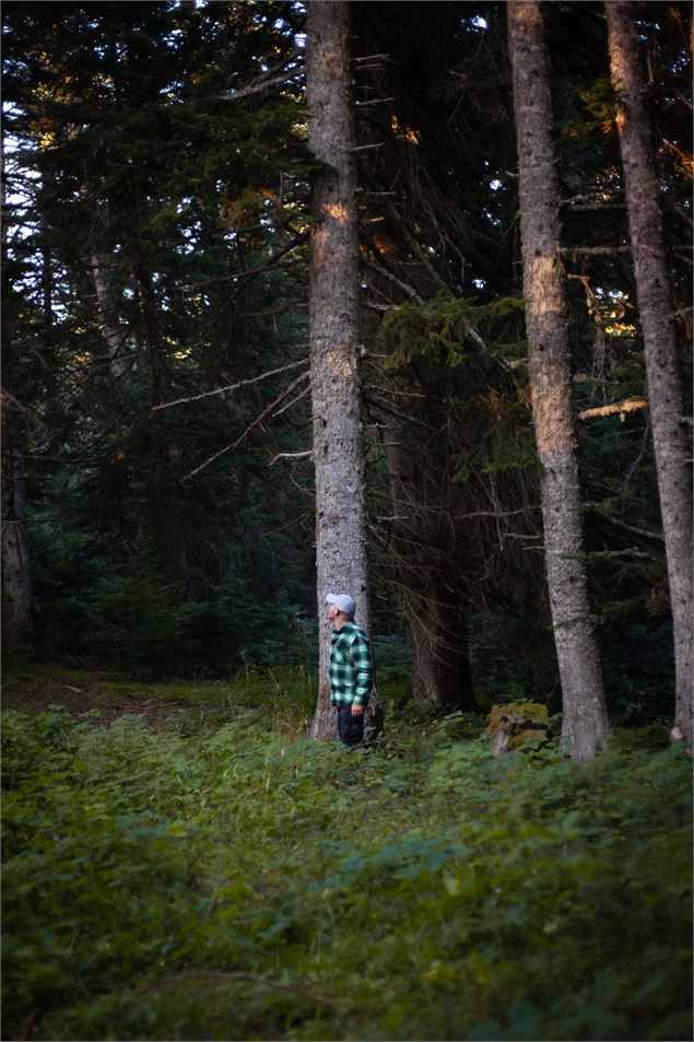Monsieur seul dans la foret