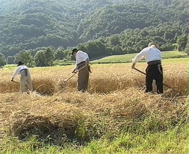 Travail aux champs - Grand Filon