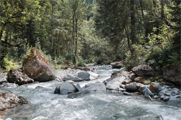 Torrent des Glaciers