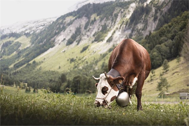 Fête de Lormay - OT du Grand-Bornand