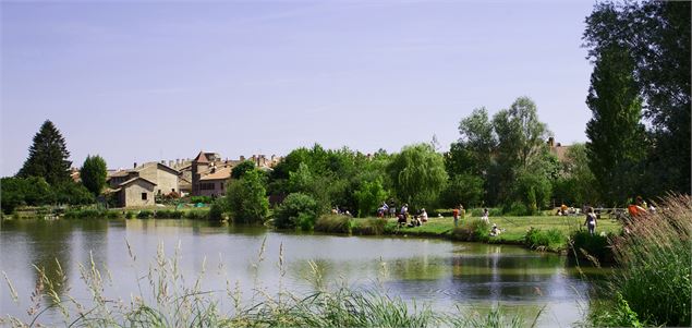 Plan d'eau - Maison de l'eau et de la nature