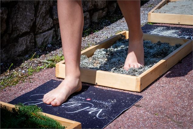 Parcours sensoriel - OTI Val d'Arly
