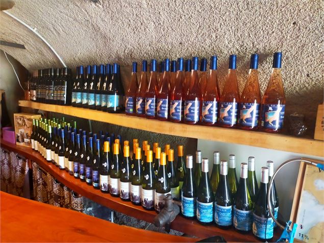 Apéro'Vignes au Domaine La cave de mon père - Musée du Vigneron_Porte-de-Savoie