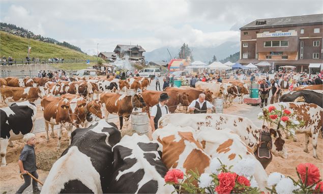 Foire de Bétail