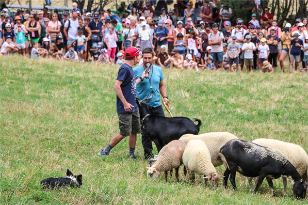 Rencontre avec le berger - OT SSA