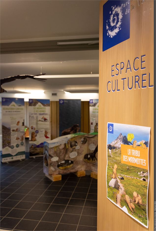 Exposition 