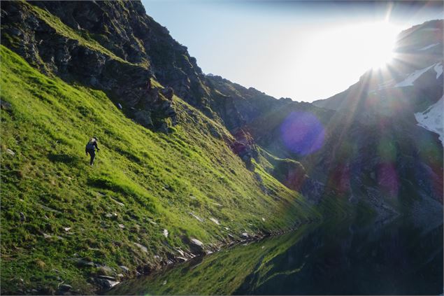 Projection nature - 