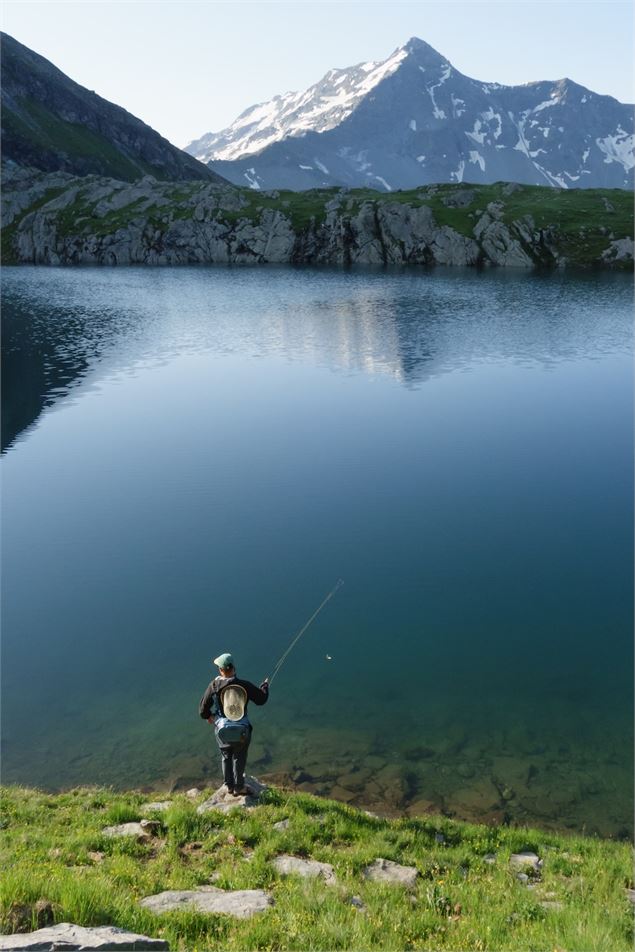 Projection nature - 