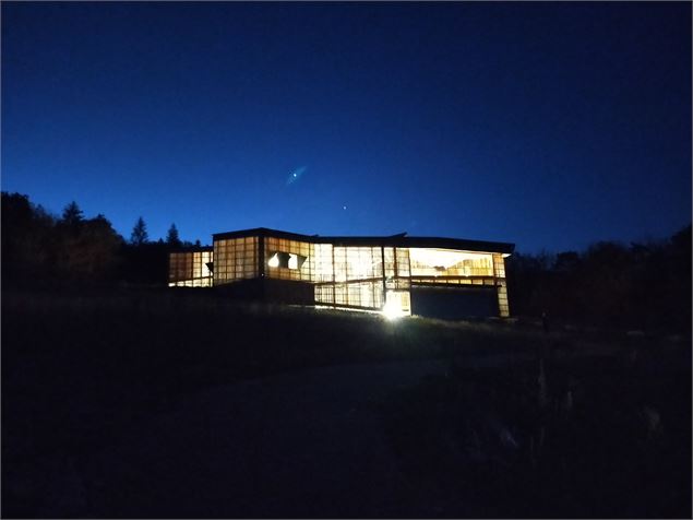 Dinoplagne© de nuit - © William Grossiord