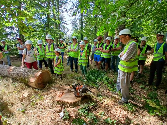 Vis ma Vie de Bûcheron et de Forestier dans l'Ain - Fibois 01
