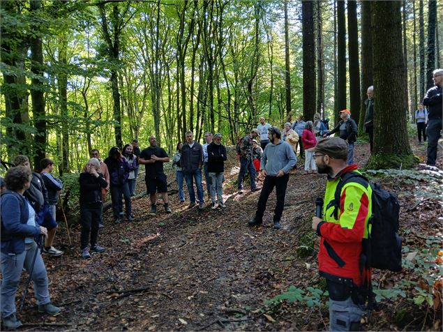 Vis ma Vie de Bûcheron et de Forestier dans l'Ain - Fibois 01