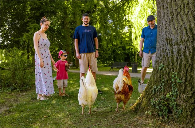 Nourrissage des animaux_Thoissey - Quentin TOURNIER
