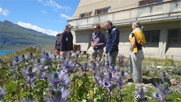 Activité nature au Jardin Alpin du Mont Cenis : 