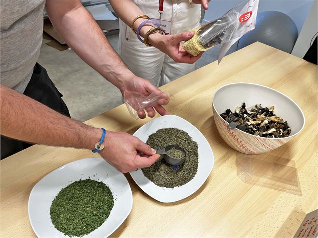 Visite-atelier adulte - Du panier à l'assiette_Chambéry - Solenne Paul - Département de la Savoie