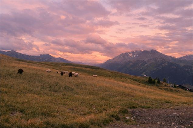 Coucher de soleil | Evolution 2_La Rosière - Montvalezan