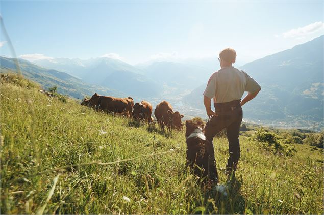 Saveurs d'Alpage | Evolution 2 & la Coopérative laitière de Haute Tarentaise_La Rosière - Montvaleza