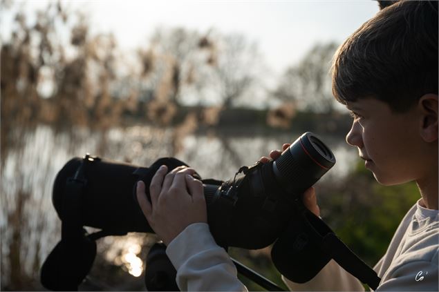 Un jeune garçon regarde les oiseaux à travers une longue vue - Corinne Bertrand