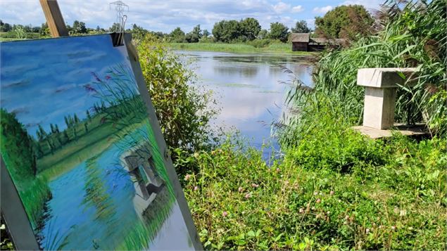 La Dombes se dessine - Jolies Lueurs