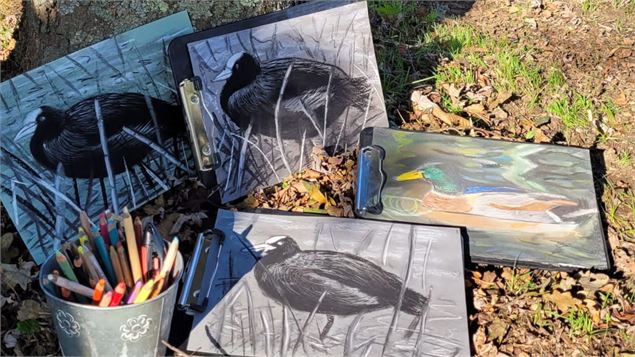 La Dombes se dessine - Jolies Lueurs