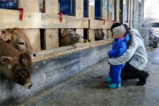 Rencontre à la ferme : visite guidée_Val-d'Isère - Elisa Vercueil
