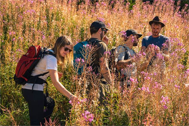 Les plantes sauvages s'invitent au repas de chasse