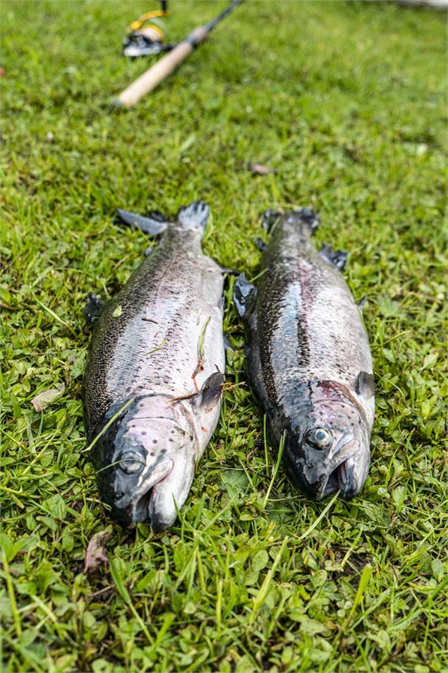 Concours de pêche au Lac de Vonnes à Châtel - Val Média