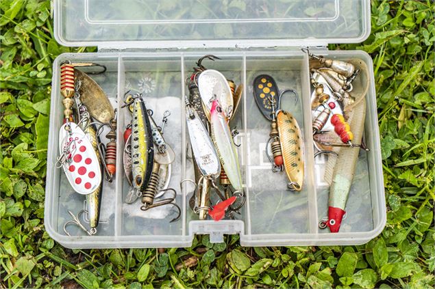 Concours de pêche au Lac de Vonnes à Châtel - Val Média