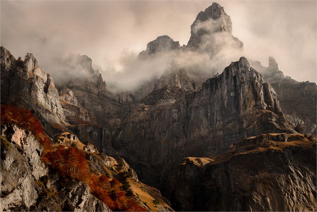 Cinéma - Contemplations, la poésie du sauvage_Pralognan-la-Vanoise