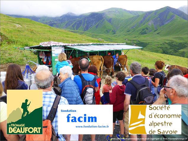 Traite des vaches - partenaires - Yves VIONNET
