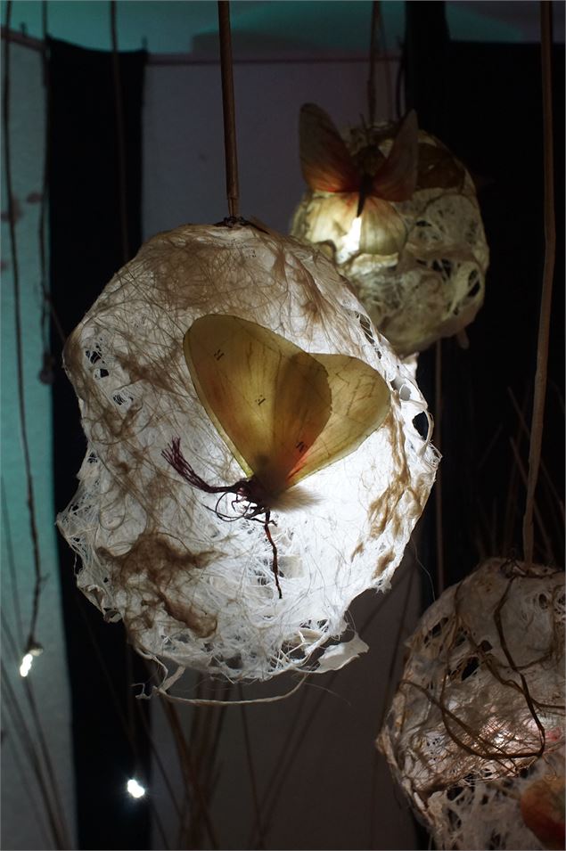 Visite Guidée : Germinations - La Chartreuse d'Aillon