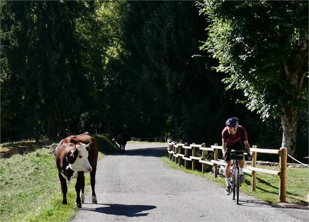 Alpvengers : le championnat des Sources du lac d'Annecy_Faverges-Seythenex - Peignée Verticale