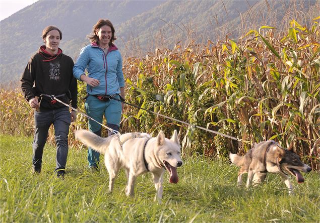 Cani rando - Pays des Hurtières - Le Grand Filon
