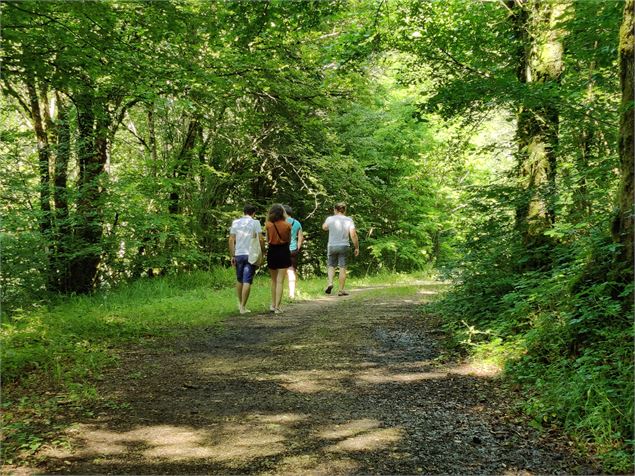 sentier pédestre de l'Albarine - Sabrina Megani / Plaine de l'Ain Tourisme
