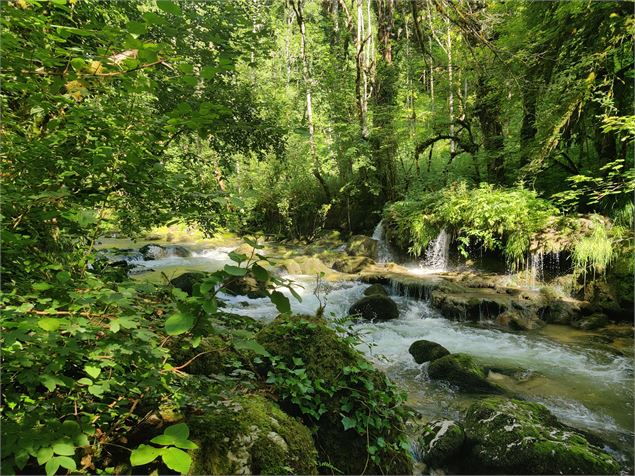 rivière de l'Albarine - Sabrina Megani / Plaine de l'Ain Tourisme