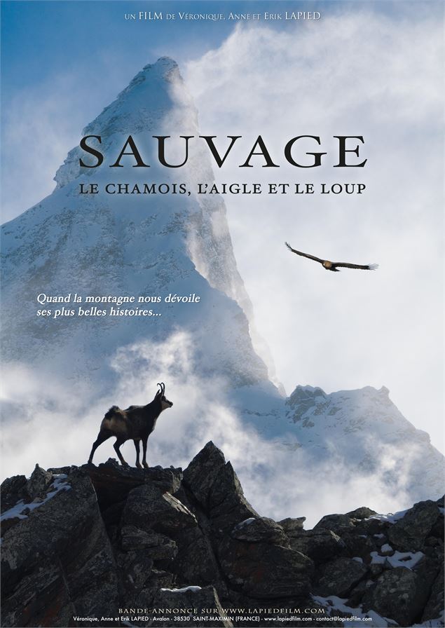 Affiche du film : Sauvage le Chamois, l’Aigle et le Loup - ©lapiedfilm