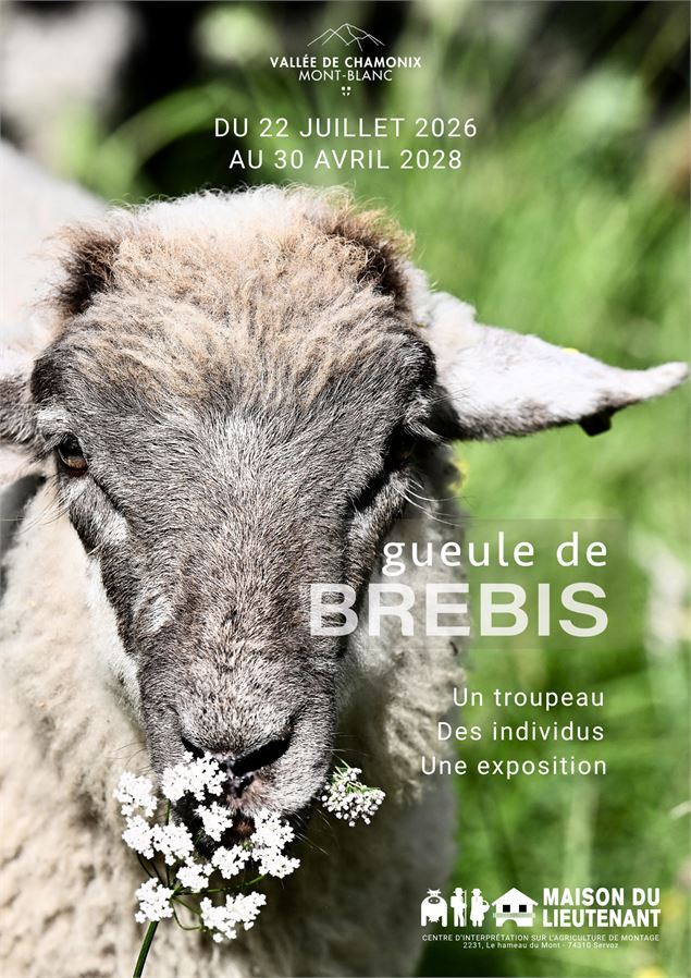 Exposition : « Gueules de Brebis »_Servoz