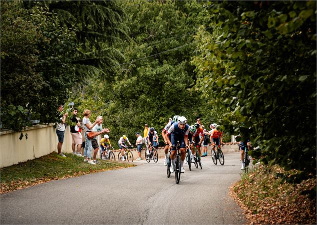 Peloton dans la montée - Tour de l'Avenir - Quentin Joly